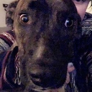 Meet your Posher, Nikki